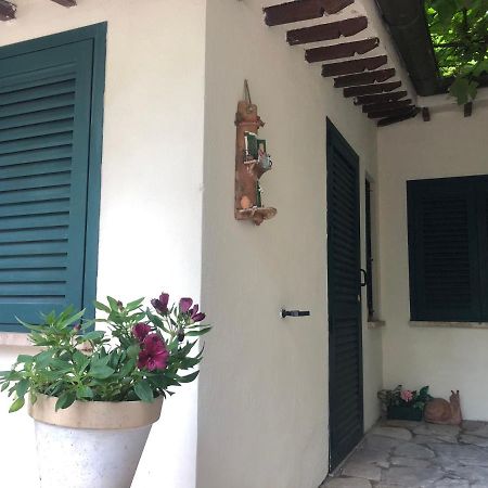 B&B Uva Fragola Perugia Exterior foto