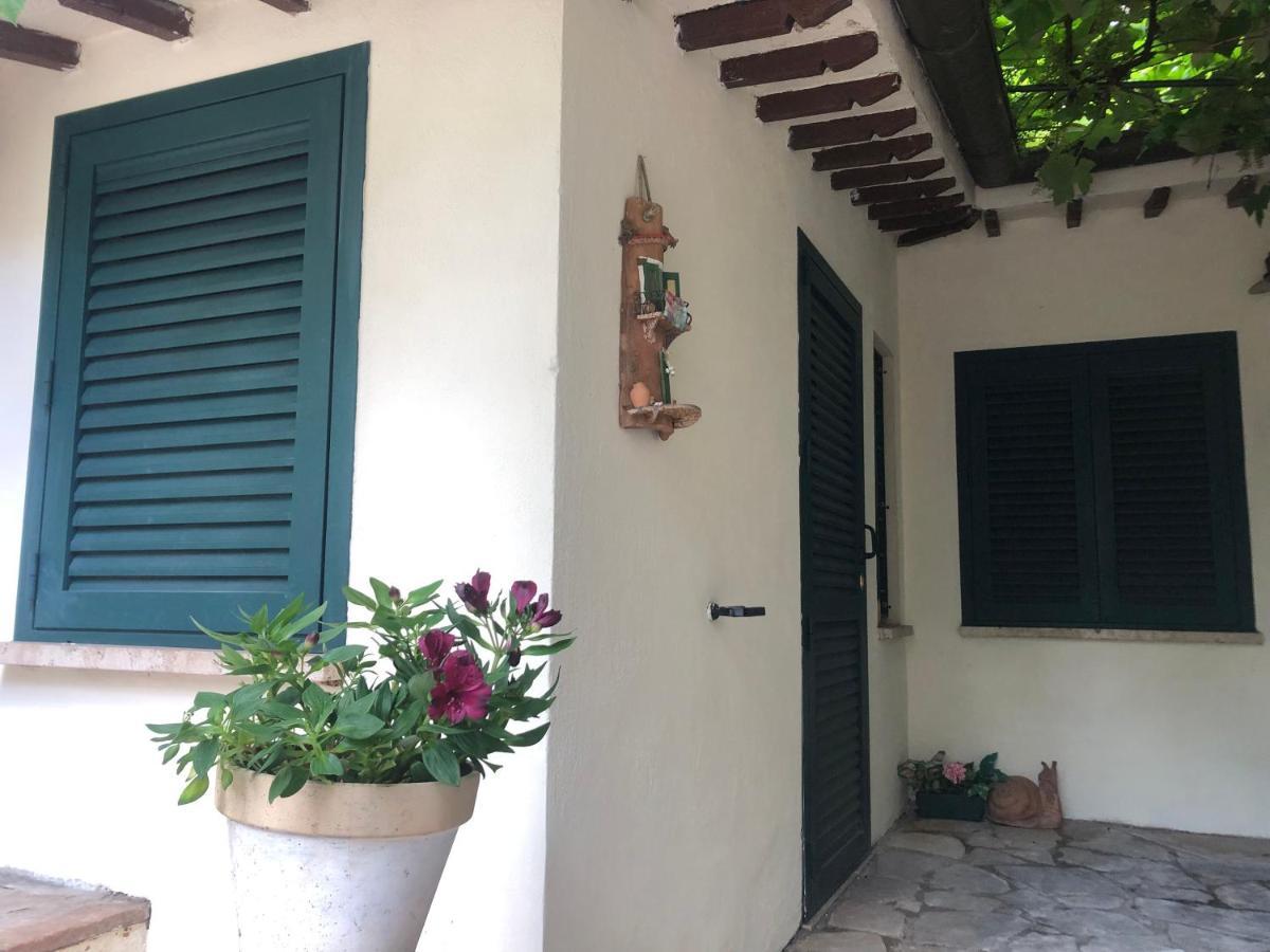 B&B Uva Fragola Perugia Exterior foto